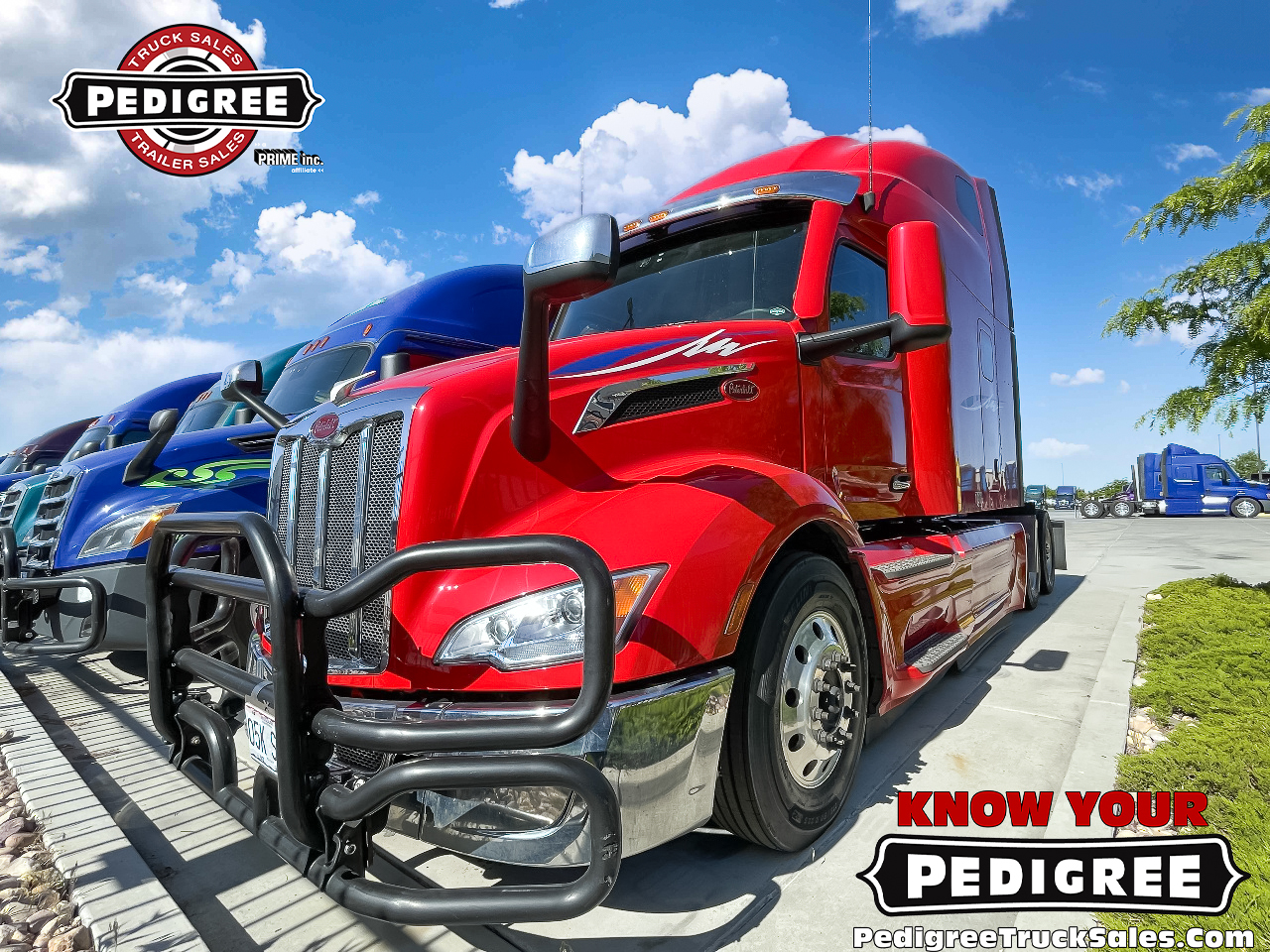 Used Semi-Trucks for Sale | Quality Used Big Rigs at Pedigree