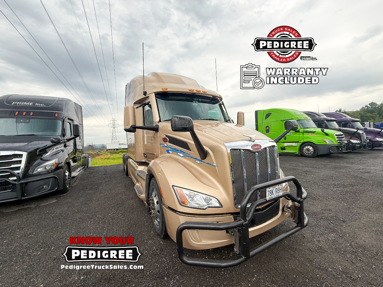 2024 Peterbilt 579 in Pittston, PA
