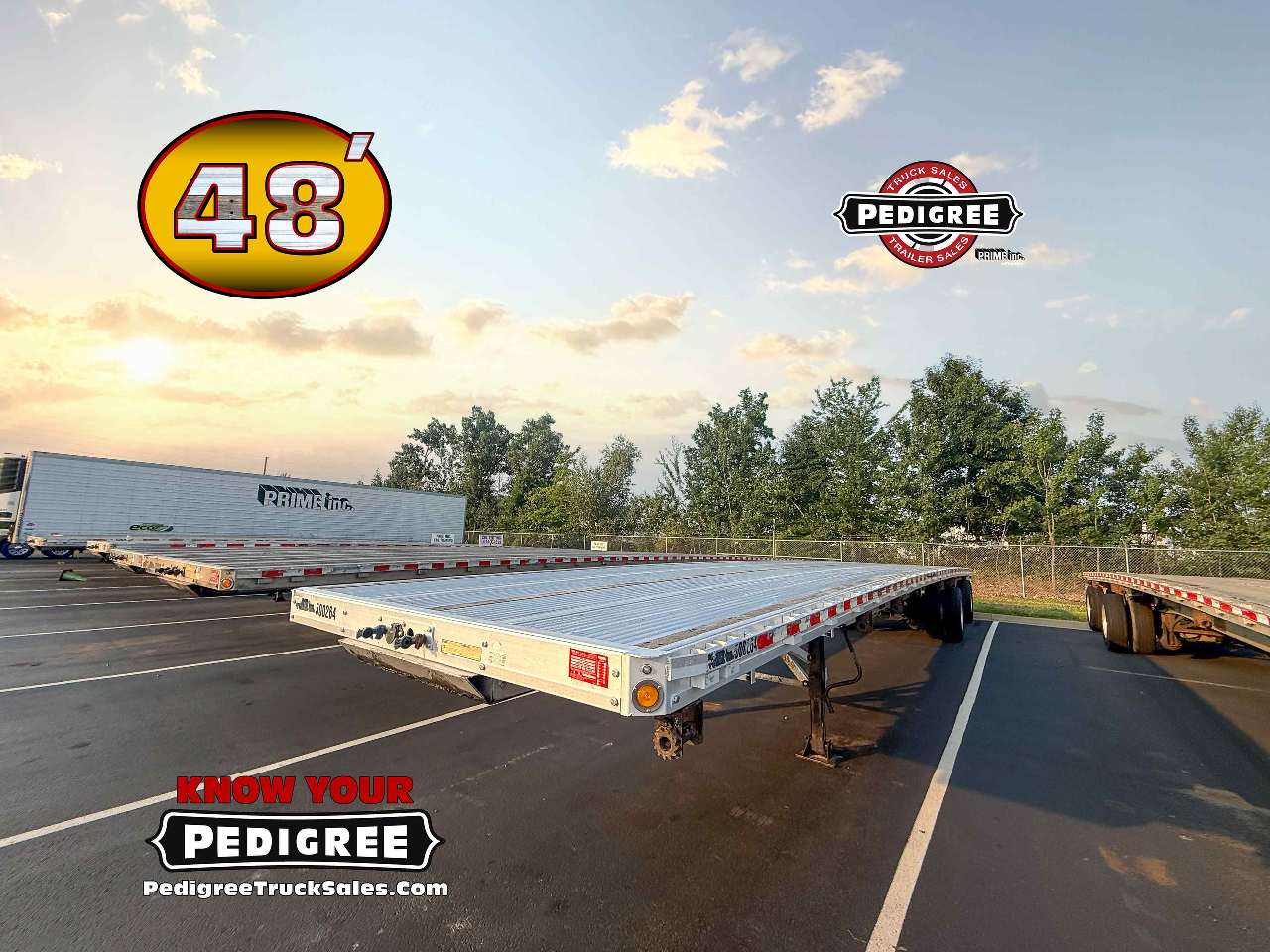 2020 Reitnouer MAXMISER 48' Flatbed Trailer #3705