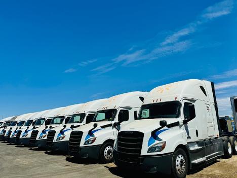 2020 FREIGHTLINER Cascadia 126 Sleeper